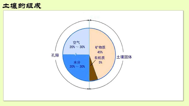 人教版2019高中地理必修一5.2 土壤 第一课时 观察土壤 课件第6页