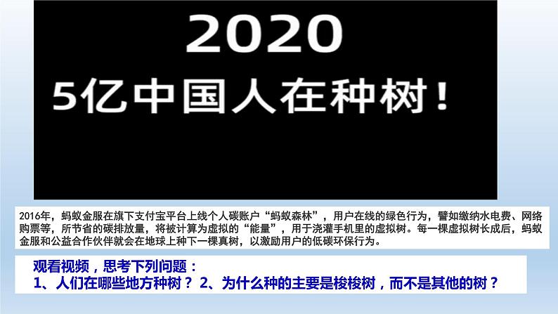 人教版2019高中地理必修一5.1-1植被第一课时 1课件02