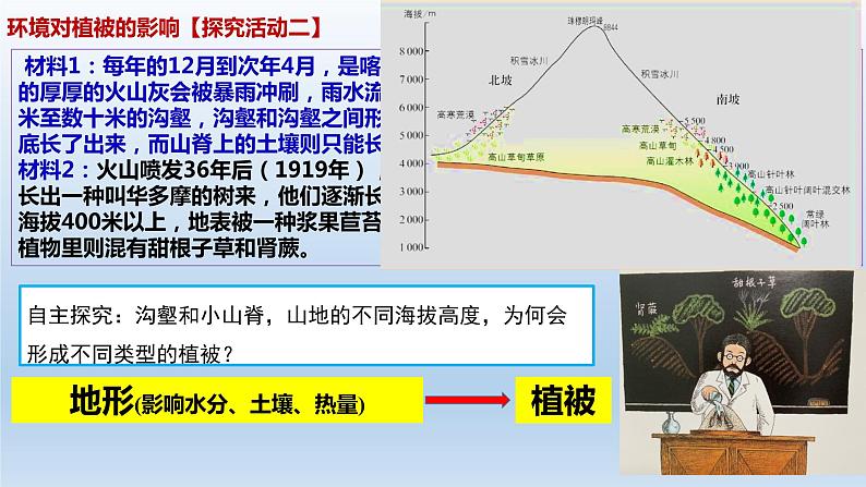 人教版2019高中地理必修一5.1-1植被第一课时 1课件08