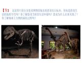 1.2 地球的形成與演化（課件）-2020-2021學(xué)年高一同步課堂（新教材魯教版必修第一冊(cè)）