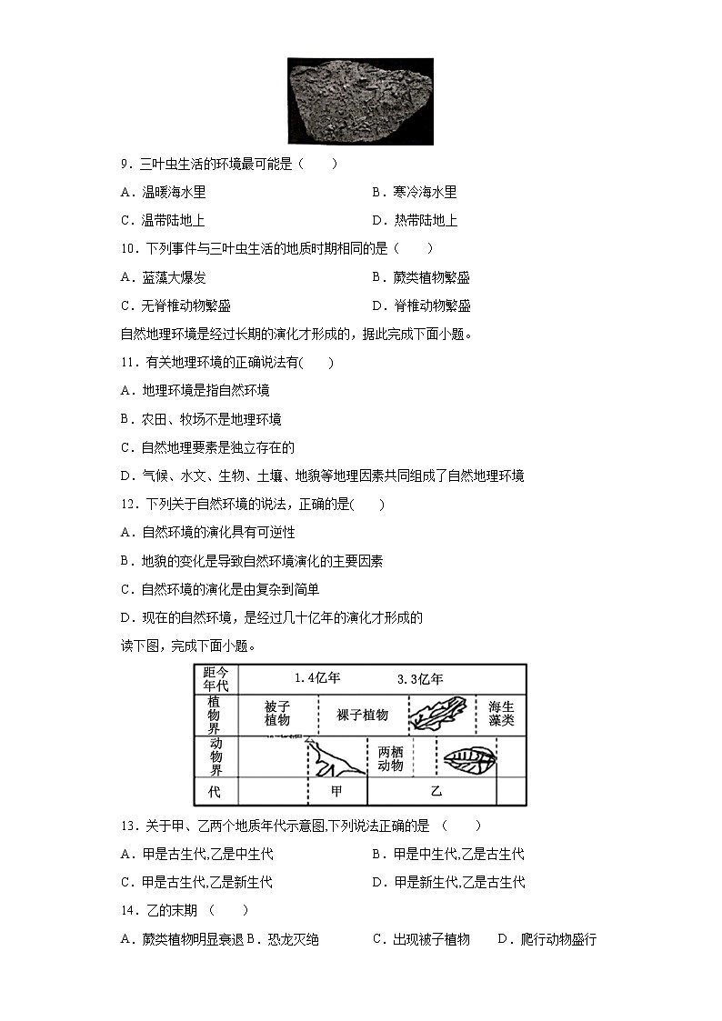 1.2地球的形成与演化-2020-2021学年高一地理课时同步练（新教材鲁教版必修第一册）第3页