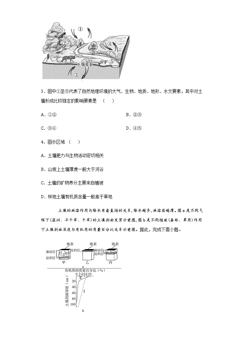 3.4分析土壤形成的原因2020-2021学年高一地理课时同步练（新鲁教版必修1）第2页