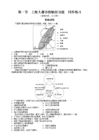 高中地理中图版 (2019)选择性必修2 区域发展第一节 上海大都市的辐射功能复习练习题