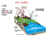 3.1   碳排放与碳减排  课件