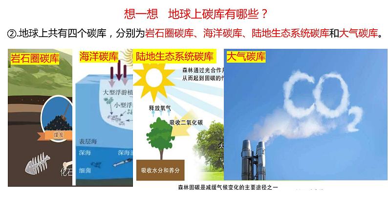 3.1   碳排放与碳减排  课件06