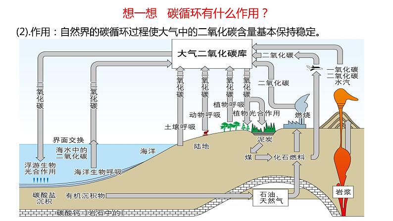 3.1   碳排放与碳减排  课件07