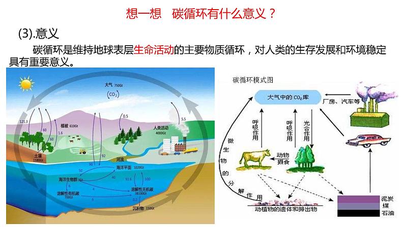 3.1   碳排放与碳减排  课件08