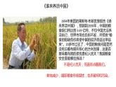 2.1  中国的耕地资源与粮食安全  课件