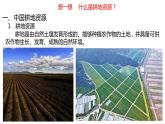 2.1  中国的耕地资源与粮食安全  课件
