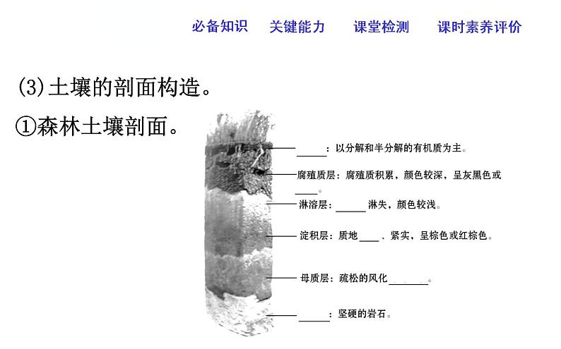 高中地理人教版（2019）必修一：5.2土壤课件PPT06
