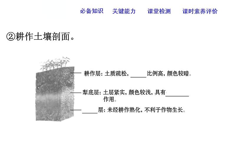 高中地理人教版（2019）必修一：5.2土壤课件PPT07