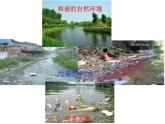 高中地理 中图课标版 必修2 第三节 环境承载力与合理人口容量部优课件