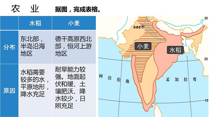 033南亚（人文环境）2023届高三地理一轮总复习第二部分世界地理之南亚与印度第2课时课件PPT第5页