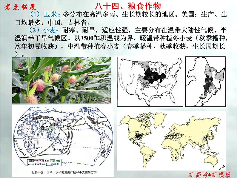 4.3 .2 农业-【新高考·新思维·新模板】备战2023年高考地理专题复习课件第8页