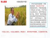 2.1《中国的耕地资源与粮食安全》课件PPT+教案