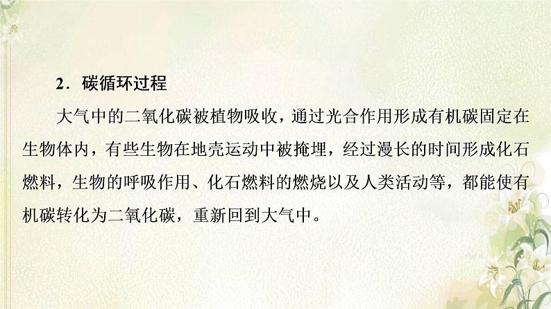 鲁教版高中地理选择性必修3第2单元生态环境与国家安全第1节碳排放与环境安全课件06