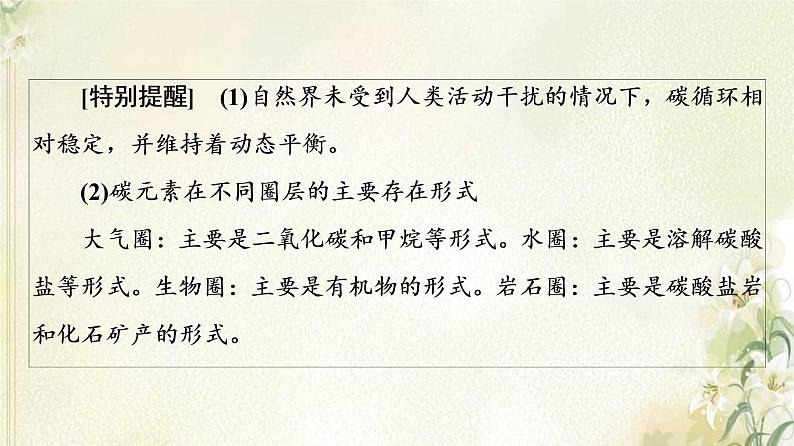 鲁教版高中地理选择性必修3第2单元生态环境与国家安全第1节碳排放与环境安全课件07