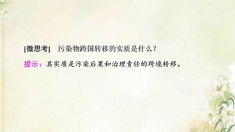 鲁教版高中地理选择性必修3第2单元生态环境与国家安全第3节污染物跨境转移与环境安全课件08