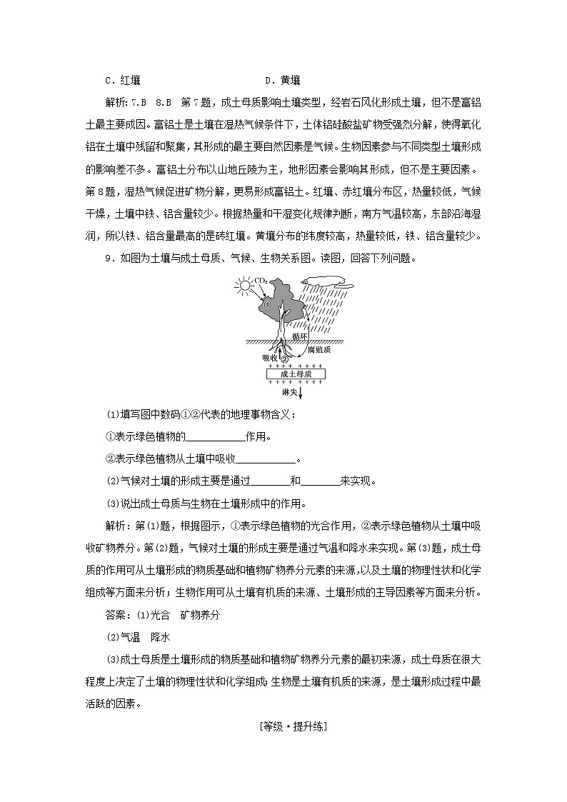 中图版高中地理必修第一册课时检测12土壤的主要形成因素含解析03