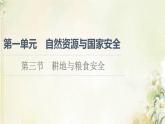 鲁教版高中地理选择性必修3第1单元自然资源与国家安全第3节耕地与粮食安全课件