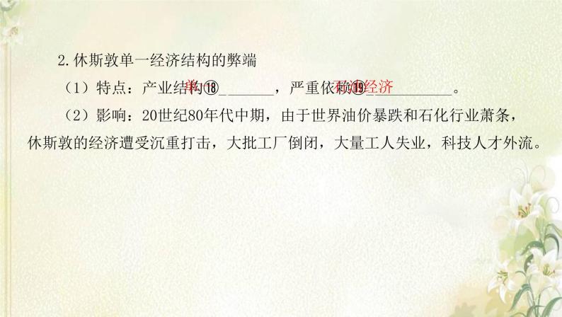 湘教版高中地理选择性必修第二册第二章区域发展第二节产业转型地区的结构优化__以美国休斯敦为例课件07