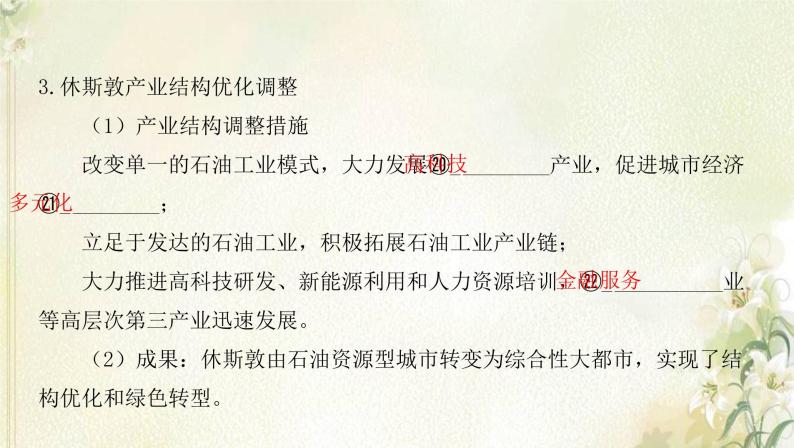 湘教版高中地理选择性必修第二册第二章区域发展第二节产业转型地区的结构优化__以美国休斯敦为例课件08