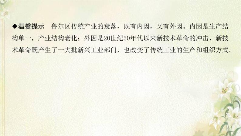 湘教版高中地理选择性必修第二册第二章区域发展第三节资源枯竭型地区的可持续发展__以德国鲁尔区为例课件07