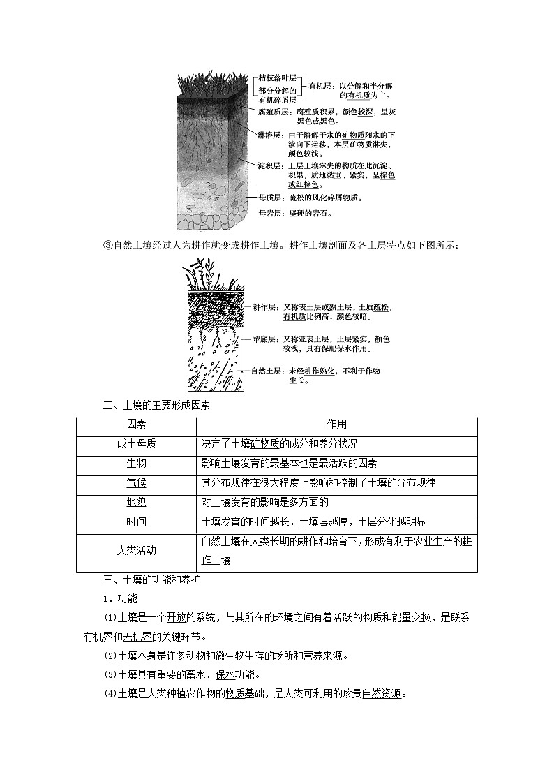 新人教版高考地理一轮复习第五章植被与土壤第11讲土壤学案02