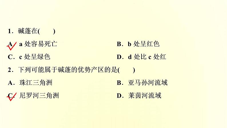 新人教版高考地理一轮复习第五章植被与土壤章末综合检测课件第3页