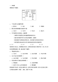 2021学年第三节 地球的历史课时作业