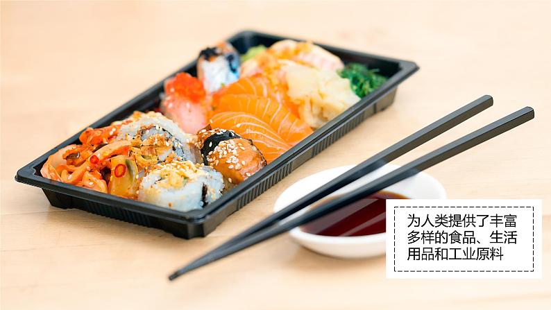 4.3 海洋与人类 课件06