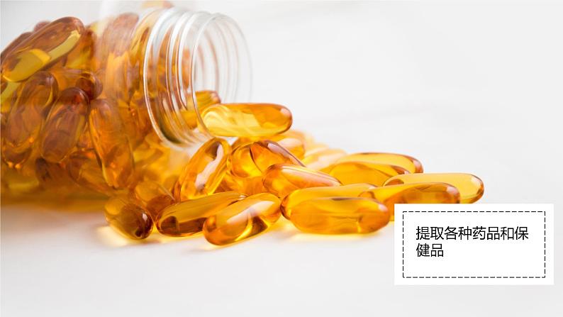 4.3 海洋与人类 课件07