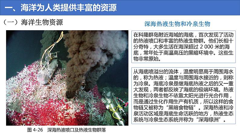 4.3 海洋与人类 课件08