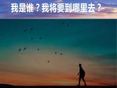 1.2人口迁移 课件