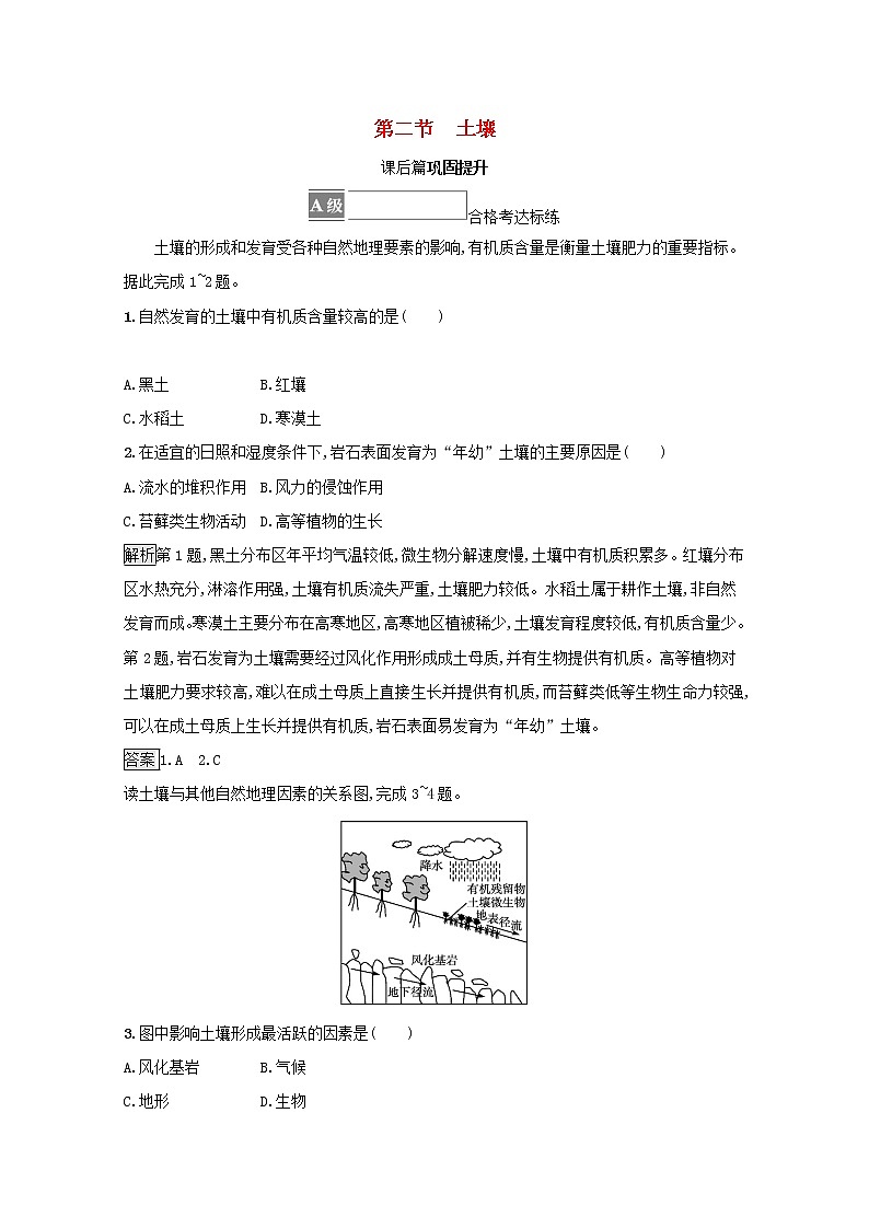 新人教必修第一册高中地理第五章植被与土壤第二节土壤训练含解析01