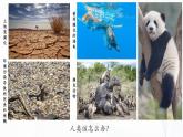 3.3《自然保護(hù)區(qū)與生態(tài)安全》課件PPT+教案