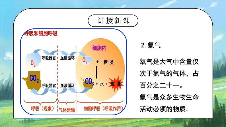 人教2019地理必修一2.1《大气的组成和垂直分层》课件PPT+教案05