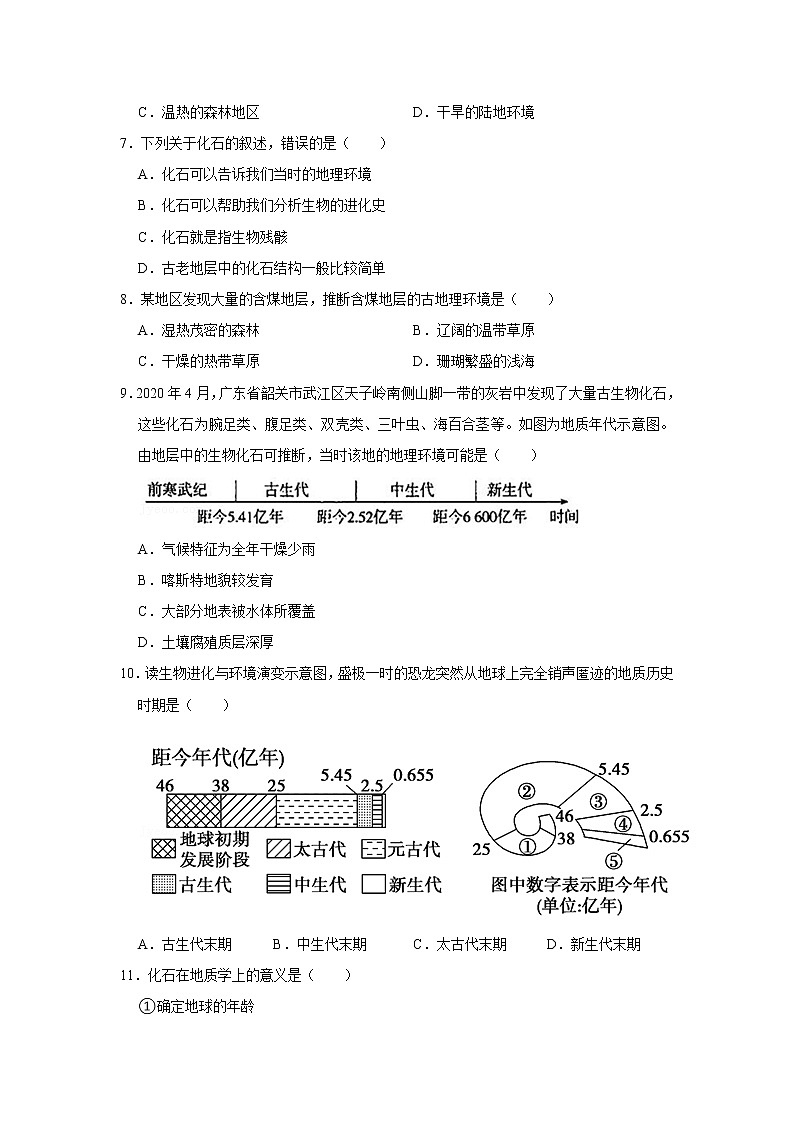 2022年新人教版（2019）地理一—地球的历史练习题附详细解析03