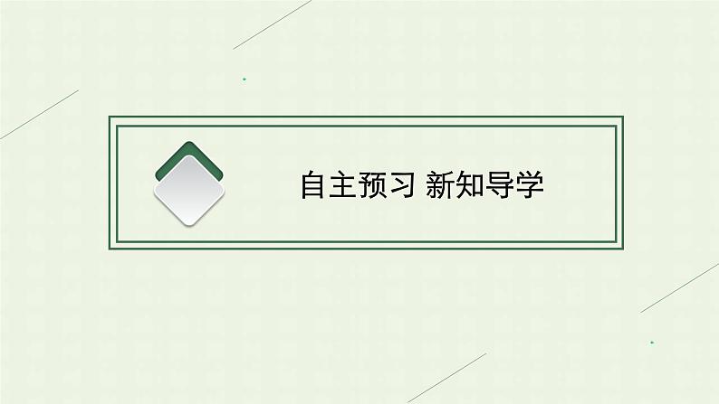 新人教版高中地理必修第二册第二章城市与城市化第二节城镇化课件第4页