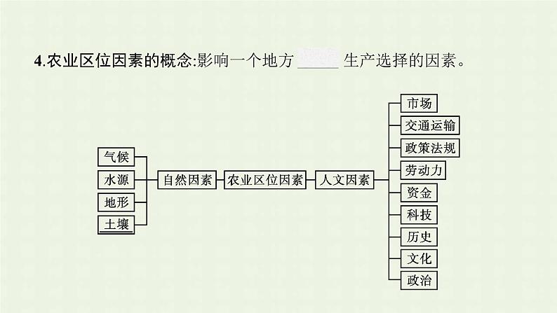 新人教版高中地理必修第二册第三章农业地域的形成与发展第一节农业区位因素及其变化课件第6页