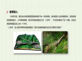 新人教版高中地理必修第一册第四章地貌第二节地貌的观察课件