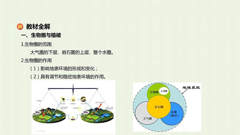 新人教版高中地理必修第一册第五章植被与土壤第一节植被课件04