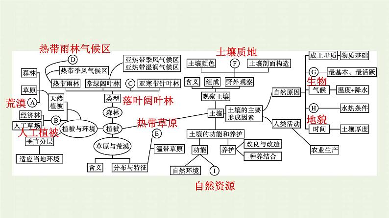 新人教版高中地理必修第一册第五章植被与土壤本章整合课件04