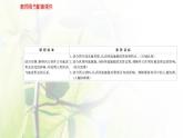 新人教版高中地理选择性必修1第二章地表形态的塑造第三节河流地貌的发育课件