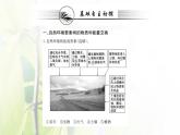 新人教版高中地理选择性必修1第五章自然环境的整体性与差异性第一节自然环境的整体性课件