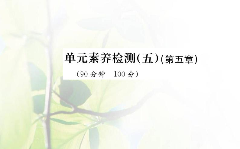 新人教版高中地理选择性必修1第五章自然环境的整体性与差异性单元素养评价课件第1页