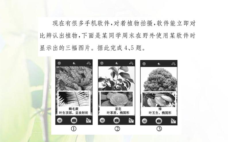 新人教版高中地理选择性必修1第五章自然环境的整体性与差异性单元素养评价课件第6页