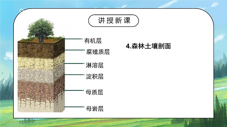 人教2019地理必修一5.2《土壤》课件PPT+教案06