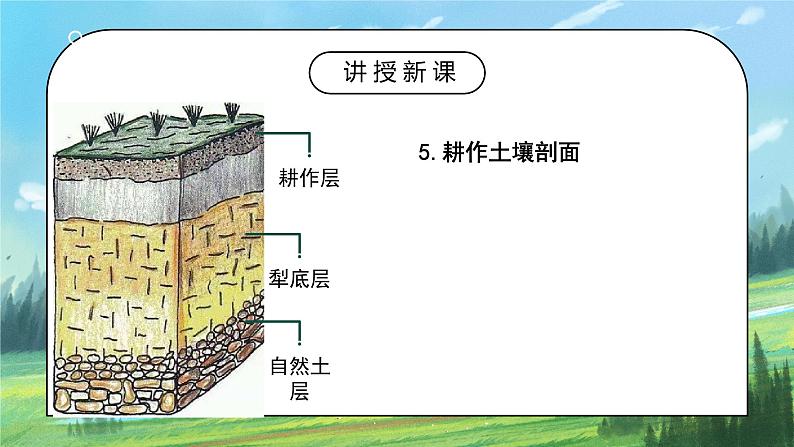 人教2019地理必修一5.2《土壤》课件PPT+教案07