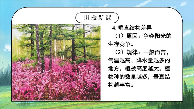 人教2019地理必修一5.1《植被》课件PPT+教案06